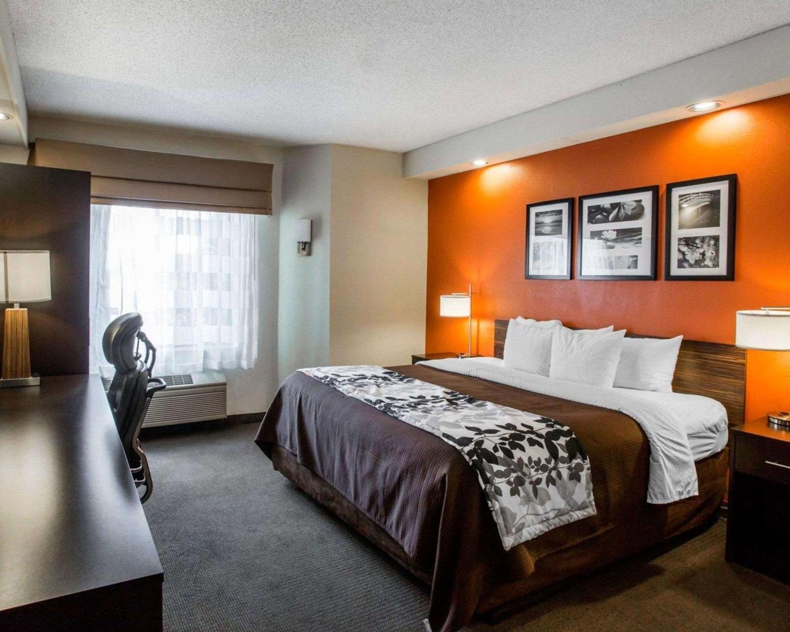 Hotel image 3